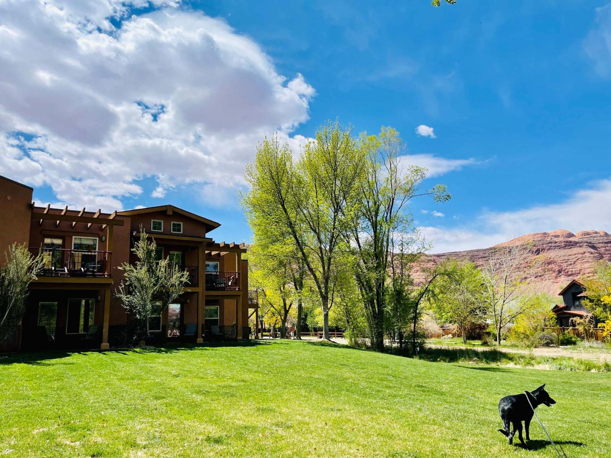 The Gonzo Inn Moab Exterior foto